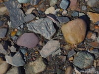 67017Le - Walking on the shale and slate on Blue Beach at low tide, Hantsport, NS   Each New Day A Miracle  [  Understanding the Bible   |   Poetry   |   Story  ]- by Pete Rhebergen